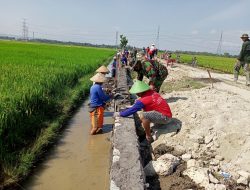 Kejar Target, Pembangunan Bahu Jalan Talud Dk. Majasto-Dk. Boto