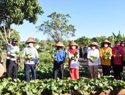Wapres RI, Apresiasi Kebun Wisata dan Ketahanan Pangan Kasuari Green Kodam XVIII/Kasuari