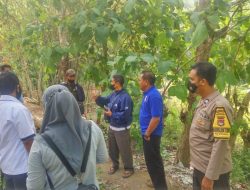Bhabinkamtibmas Meraran Dampingi Polhut Sita Kayu Sonokeling