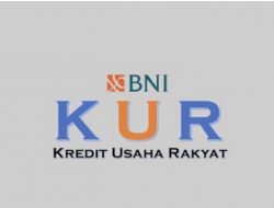 Petani Desa Palama Keluhkan Dana KUR yang tak kunjung Cair