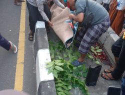 Diduga Mabuk Berat, Pengendara Beat Hantam Pulau Jalan di Jalan By Pass Bil I