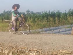 Bukan Hanya Kendaraan Bermotor, Sepeda Pun Melenggang Nyaman Di Jalan TMMD