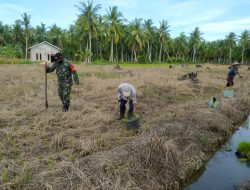 Sukseskan Program Swasembada Pangan, Babinsa Matang Terap Bantu Warga Binaan Tanam Padi