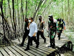 Presiden Tinjau Hutan Mangrove di Bali