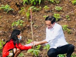 Presiden Jokowi Tanam Pohon Bersama Masyarakat NTB