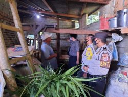 Polsek Praya Sedang Mendalami Pelaku Tindak Pidana Pencurian dengan Pemberatan Ternak Sapi di Kelurahan Leneng