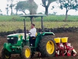 Momen Presiden Jokowi Tanam Jagung Pakai Traktor
