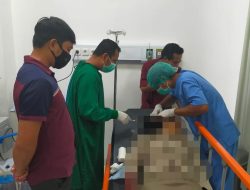 Meninggal Dunia Tertimpa Pohon, Korban PNS Perempuan di Lombok Barat