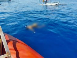 Geger, Mayat Dua Remaja Ditemukan Mengapung Di Tengah Laut