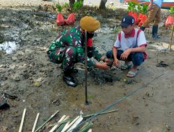 Penanaman Bibit Mangrove Guna Mengurangi Erosi di Negeri Mamala