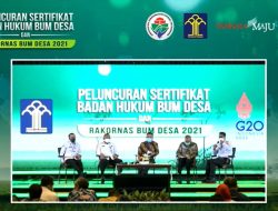 BUMDes Instrumen Optimalkan Potensi dan Berdayakan Ekonomi di Desa