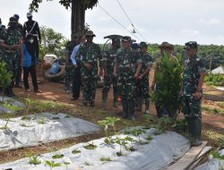 Pangdam II/Sriwijaya Tinjau Agrowisata di Banyuasin