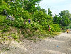 Gotong Royong Anggota Satgas Pamtas RI-RDTL Yonif 743/PSY Bersama Warga Di Perbatasan Bersihkan Jalan Dan Jalur Kabel PLN
