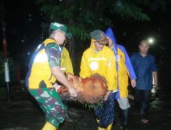 Dandim 0418/PLG Dan Walikota Palembang Turun Langsung Evakuasi Pohon Tumbang