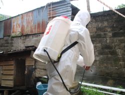 Cegah PMK, Satgas Ops Aman Nusa II Polda Kalbar Semprotkan Disinfektan di Kandang Ternak Warga