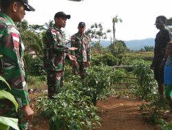 Manfaatkan Lahan Tidur, Satgas Yonif 126/KC Berikan Sosialisasi Cara Menanam dan Berkebun Cabai di Perbatasan Papua 