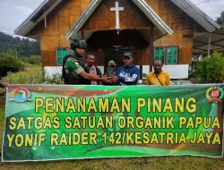 Hijaukan Halaman Gereja, Satgas Yonif Raider 141/KJ Tanam Bibit Pinang Di Kab Yalimo