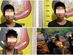 Team Trabazz Polsek Gunung Megang , Amankan Komplotan Pencurian Buah Sawit PTPN 7 Suli Muara Enim