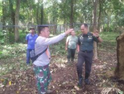 Dandim 0401/Muba dan DLH Melaksanakan Pembersihan Kegiatan Taman Hutan Kota