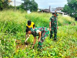 Pimpin Pelaksanaan Pemeliharaan Tanaman Pohon, Danramil 01/Laweyan Terjun Langsung Ke Lapangan