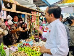 Presiden Jokowi Tinjau Aktivitas Pasar Bunda Sri Mersing di Dumai