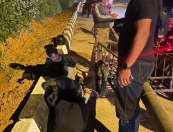 Pelaku dan Penadah Pencurian Besi Pipa Dan Kabel Milik PT Telkomsel Berhasil Disikat Reskrim Polsek Lubuk Baja