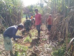 Babinsa Koramil 0818/16 Sumbermanjing Wetan Lakukan Karya Bakti Pembuatan Jalan