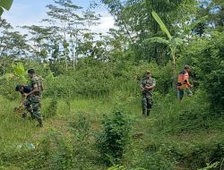 Peduli Akan Kelestarian Alam, Anggota Koramil Bersama Relawan Tanam Puluhan Bibit Pohon