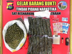 Kembali Sat Resnarkoba Polresta Mataram Amankan, 5 Kilogram Ganja dan Belasan Gram Sabu