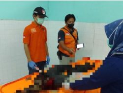 Polres Muara Enim Selidiki Penemuan Tengkorak Kepala yang Tersangkut di Pohon