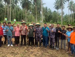 Lanudal Manado Dukung Program Ketahanan Pangan Pemerintah Melalui Penyuluhan Pertanian Jagung Kepada Masyarakat Likupang Timur