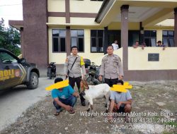 Personel Polsek Monta Amankan Dua Terduga Pelaku Pencurian Hewan Ternak