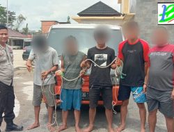 Lima Pelaku Pencuri Sapi di Amankan Polsek Bayung Lincir
