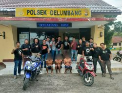 Sindikat Perampokan Alfamart 02 Gelumbang Dibekuk Team Gabungan