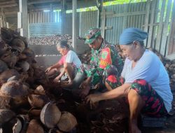 Babinsa Pos Ramil Kurik Bantu Pekerja Harian Membuat Kopra