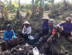 Dengan Komsos, Babinsa Motivasi Petani Binaan