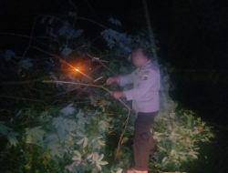 Polsek Tebat Agung Bersihkan Pohon Tumbang Jalur Lintas Menuju Kota Muara Enim