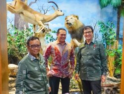 Kunjungi Museum Satwa Dunia di Medan, Ketua MPR RI Bamsoet Apresiasi Koleksi Rahmat International Wildlife Museum and Gallery