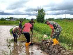 Babinsa Merauke Bantu Petani Membuat Pematang Sawah 