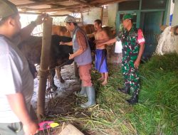 Babinsa Koramil 0818/12 Bantur Lakukan Pendampingan Vaksinasi Hewan Ternak