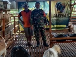 Babinsa Motivasi Peternak Dukung peningkatan Kesejahteraan Masyarakat
