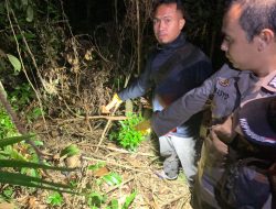 Heboh Warga Mempawah Hulu Temukan Tulang Tengkorak Manusia