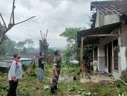 Puting Beliung Merusak Atap Rumah Warga, Babinsa Koramil 0818/20 Tajinan Terjun Langsung Ke Lokasi Lakukan Karya Bakti