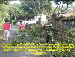 Antisipasi Tejandinya Pohon Tumbang, Babinsa Bersama Warga Gotong Royong Pemangkasan Pohon