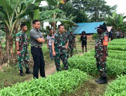Danrem 174 Kolonel Agus Tinjau Kebun Pisang Dan Kebun sayur Binaan Babinsa Di Timika