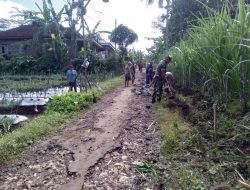 Bersama Warga Babinsa Koramil 0818/13 Kalipare Lakukan Kerja Bakti Sosial Lakukan Perbaikan Jalan
