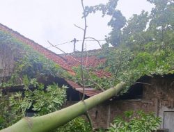 Polsek Gerung Tangani Dua Peristiwa Pohon Tumbang di Gerung