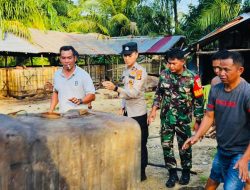 Kegiatan Gabungan Bersama TNI Polri dan Pemda, Bongkar Gudang dan Lokasi Penyulingan Minyak Ilegal di Banyuasin dan Muratara