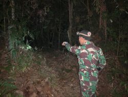 Satgas Pamtas Yonkav 12/Beruang Cakti Gagalkan Penyelundupan Satwa Dilindungi di Perbatasan RI-Mly