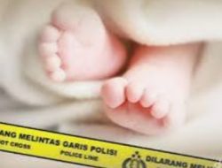 Diduga Hasil Hubungan Gelap, Seorang Bayi Laki-laki Dibuang Orang Tuanya Di Sawah